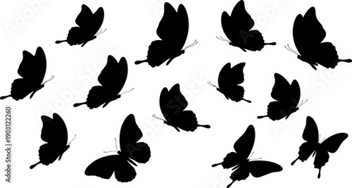 Collection of black feather silhouettes on white background