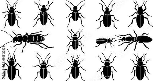 Collection of various insect silhouettes