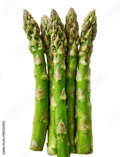 Vibrant close-up of fresh, raw, green asparagus spears, tightly bundled with water droplets