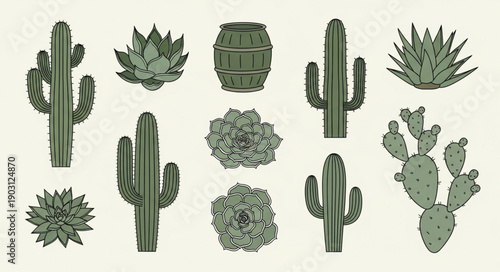 Collection of Desert Cacti and Succulents Botanical Illustration.