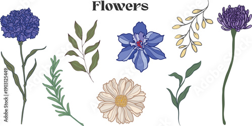 Blue and Purple Carnation and Chrysanthemum Flower Set with Green Leaves and Yellow Berries Vector Illustration Isolated for Wedding Invitations