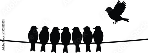 Bird silhouettes sitting on wire with one flying away, freedom individuality leadership concept, minimalist black flat vector illustration