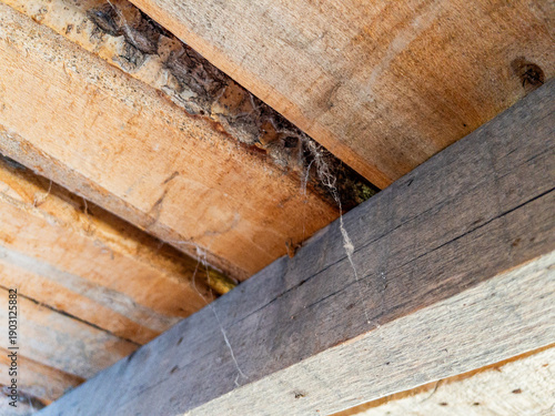 Old Wooden Roof Beams with Cobwebs, Rustic Interior Texture Background