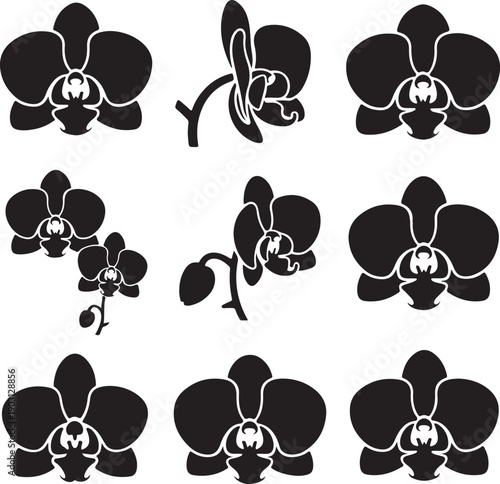 black orchid flower silhouettes on white background