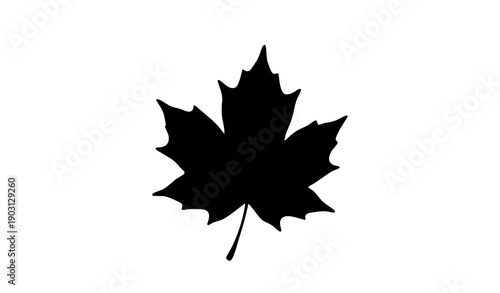 Minimal hand sketched maple leaf silhouette vector