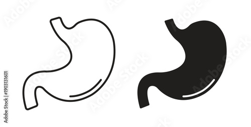 Stomach icons vector symbol with editable stroke and flat versions