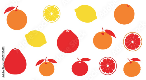 Set of Citrus Fruit Slice Icons