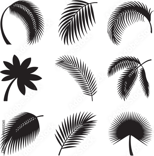 black silhouettes of various palm leaves on white background