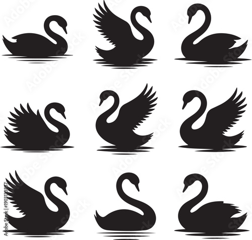 black swan silhouettes on white background