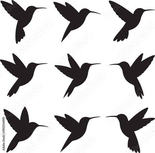 Collection of flying hummingbirds in various poses and directions