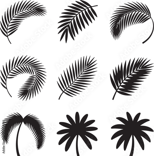 Collection of various palm tree leaves and silhouettes on white background
