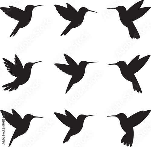 set of black hummingbird silhouettes flying in different positions