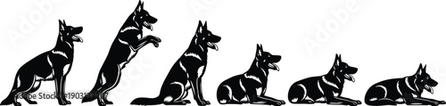 Black and White Vector Illustration Set of German Shepherd Dog Silhouettes Showing Various Training Poses Including Standing Sitting Jumping and Laying Down for Canine Professionals
