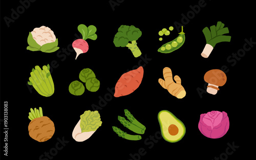 Collection of various vegetables isolated on white background. Healthy vegetarian food. Bundle of organic natural crops, salads, greens and herbs. Colorful vector illustration in flat cartoon style