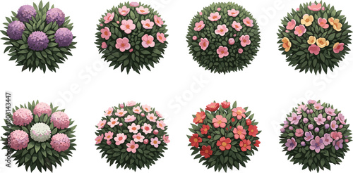 Colorful flowering bush set top view illustration, decorative garden shrubs with blooming flowers, landscaping and nature design elements isolated on white background