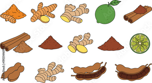 Spices and Natural Ingredients Collection Isolated on White Background Flat Vector Illustration