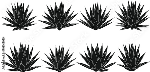 Set of agave and succulent plant silhouettes in black and white, minimalist desert botanical icons, isolated on white background vector illustration collection design