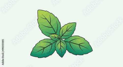 Vibrant Fresh Green Basil Leaves Illustration Perfect for Culinary and Natural Design Themes