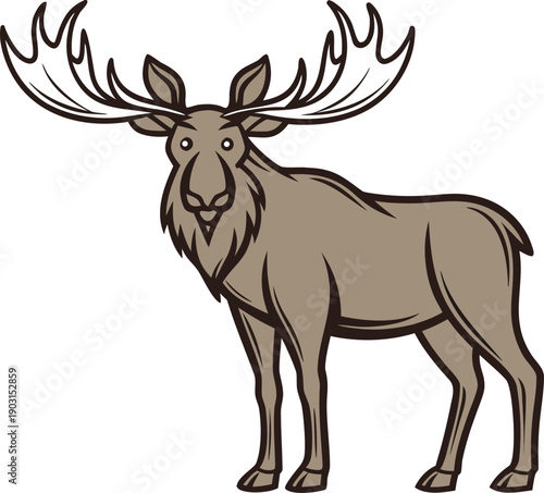 Moose single animal design. Moose wildlife animal illustration. Moose forest animal design. Moose nature animal illustration. Moose wild animal design. Moose north american animal. Moose woodland