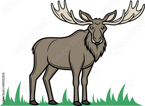Moose single animal design. Moose wildlife animal illustration. Moose forest animal design. Moose nature animal illustration. Moose wild animal design. Moose north american animal. Moose woodland