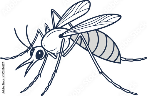 Mosquito insect illustration design. Mosquito flying insect illustration. Mosquito pest insect illustration. Mosquito disease carrier illustration. Mosquito harmful insect illustration. 