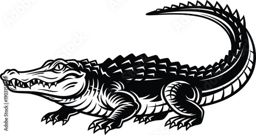 Powerful black and white crocodile vector illustration isolated on white, featuring detailed scales and aggressive posture for wildlife, mascot, or predator themed graphic design projects.