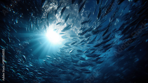 Underwater Scene with Fish Swimming in Sunlit Ocean Waters