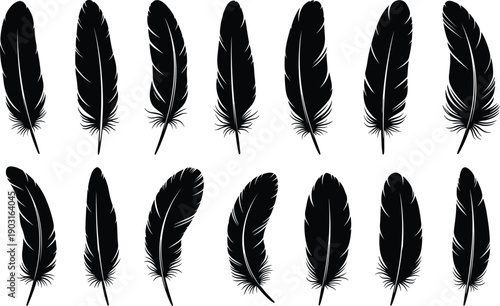 Black feather silhouette set in different shapes, isolated on white background, minimalist bird plume collection for design, tattoo, logo, and decor.