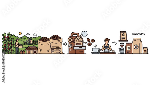 Linear infographic illustrating the complete journey of coffee, from bean cultivation and harvesting to roasting, brewing, and packaging for consumers