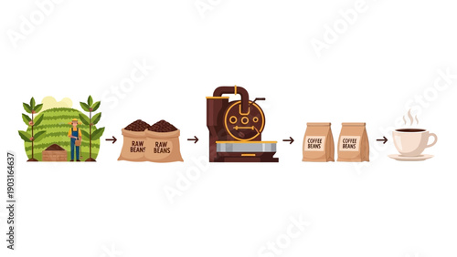 Visual guide to coffee production illustrating the journey from green coffee plants and raw beans to roasting, packaging, and a delicious hot brewed cup