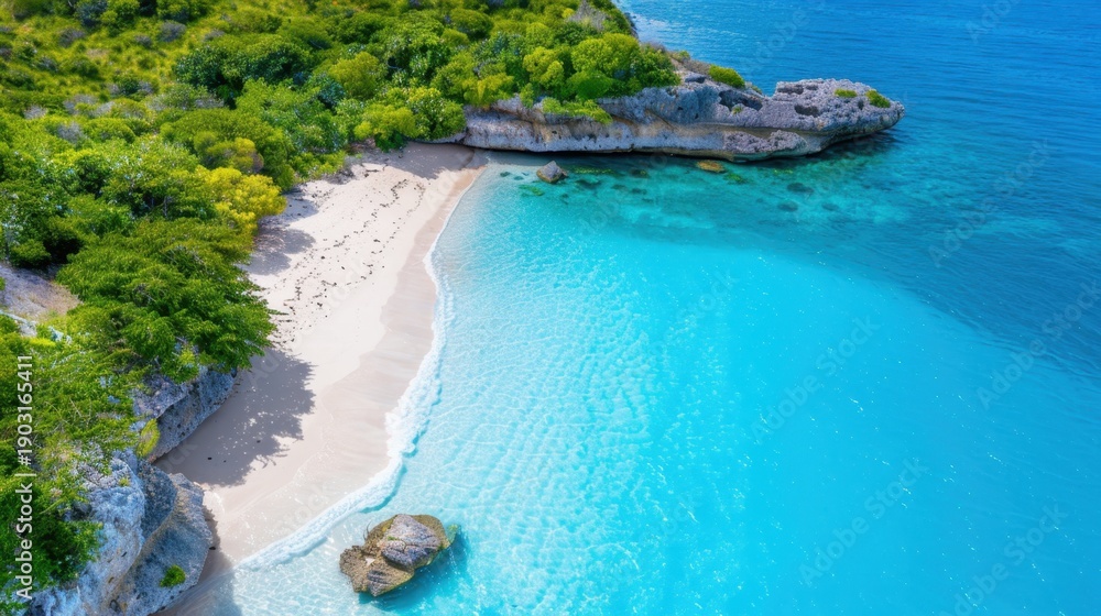 Obraz premium Aerial View of Serene Tropical Beach with Clear Blue Water and Lush Greenery in Lush Natural Landscape