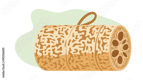 Illustration of a natural cylindrical loofah sponge with a rope handle, showcasing its porous texture for exfoliation and eco-friendly bathing rituals.