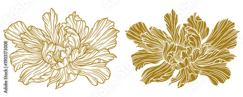 Peonies line art vector illustration set isolated on white. Flower gold ink sketch. Modern minimalist hand drawn design.	
