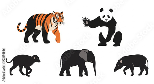 Collection of diverse wild animals in silhouette and illustration.