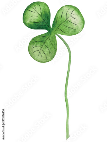 Set of Watercolor Illustrations for St. Patrick's Day. Hand drawn isolated clipart with a leprechaun hat, clovers, golden coins, Irish Flag, green beer and a pot of gold. Talismans for good luck