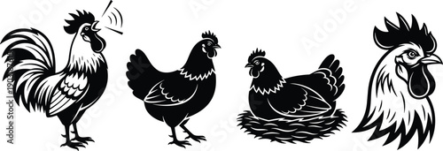 Chicken rooster vector illustration set, crowing bird, hen sitting on nest, black and white farm animal icon collection, isolated poultry graphic design.