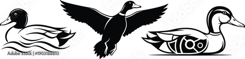 Mallard duck vector illustration set, flying bird silhouette, swimming waterfowl icon collection, black and white hunting logo symbol, isolated nature graphic design.