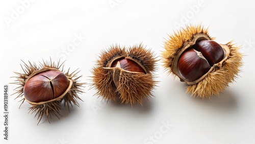 Chestnuts in a minimalist setting showcasing their natural beauty and texture under soft light