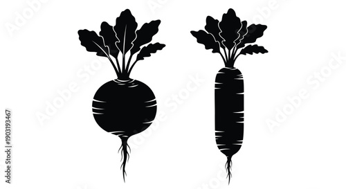 Black and white illustration of two root vegetables a radish and a beetroot
