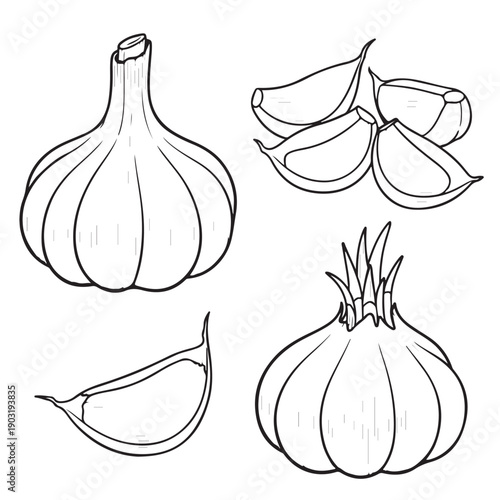 Set of fresh garlic and onion on a natural background
