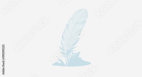 Elegant light blue feather illustration with intricate details on a plain white background