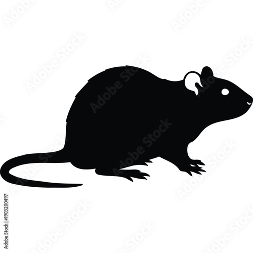Detailed Black Rat Silhouette Illustration Showcasing Long Tail, Pointed Ears, and Sharp Claws for Designs and Education