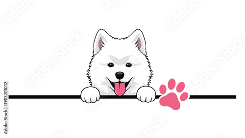 Friendly white samoyed dog peeking over a black line with a pink paw print icon nearby on a clean white background for animal themes.
