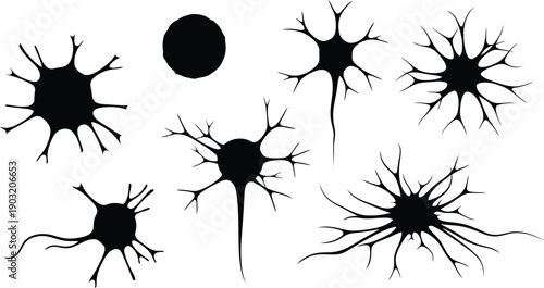 Collection of neuron cells and a circle on white background