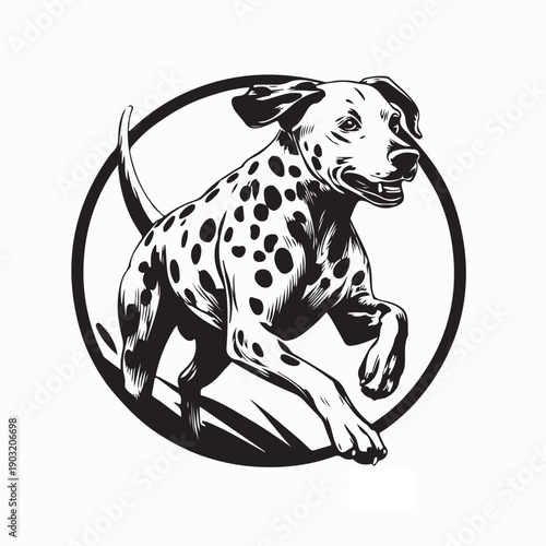 Photos Dalmatian Dog Run Image Vector illustration on White Background