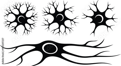 neuron cells or nerve cells  isolated on white background