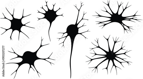 Neurons with branching dendrites and axons on white background