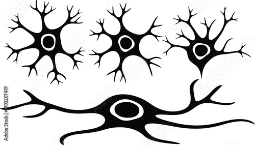 Neurons with dendrites and axons on white background