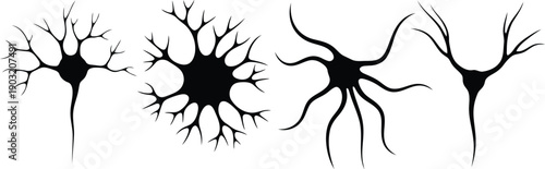 Neurons with various dendrites and axons on white background