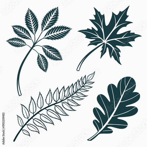 Tableau sur toile A detailed illustration showcasing a variety of different leaves from various plants and trees